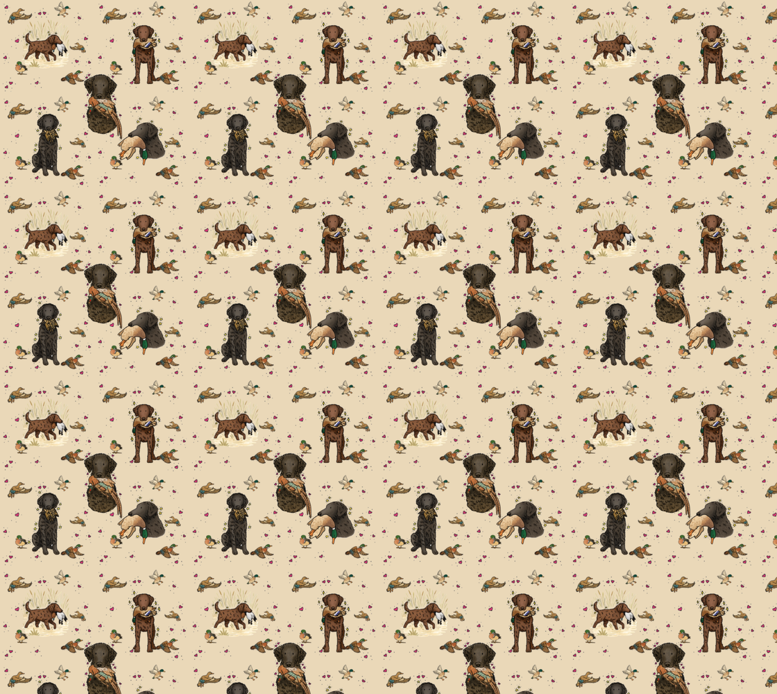 Curly-Coated Retriever