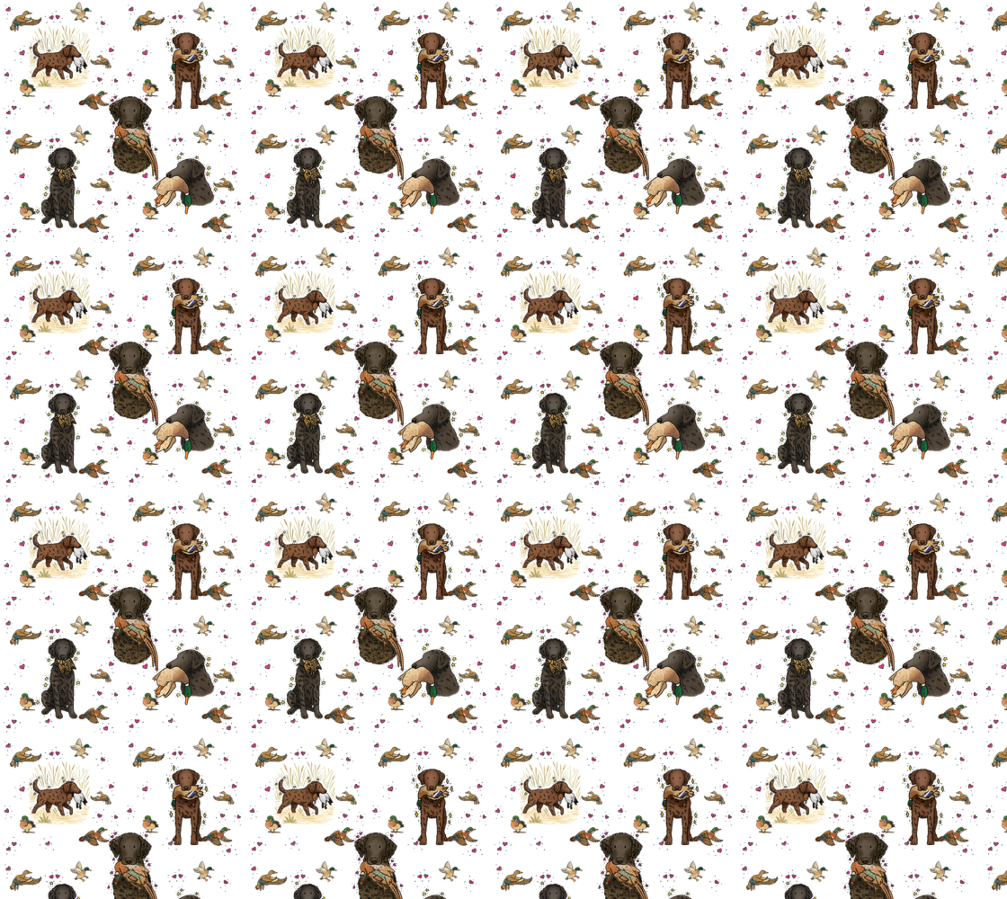 Curly-Coated Retriever