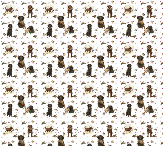 Curly-Coated Retriever