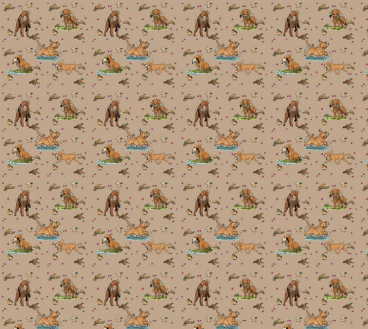 Chesapeake Bay Retriever