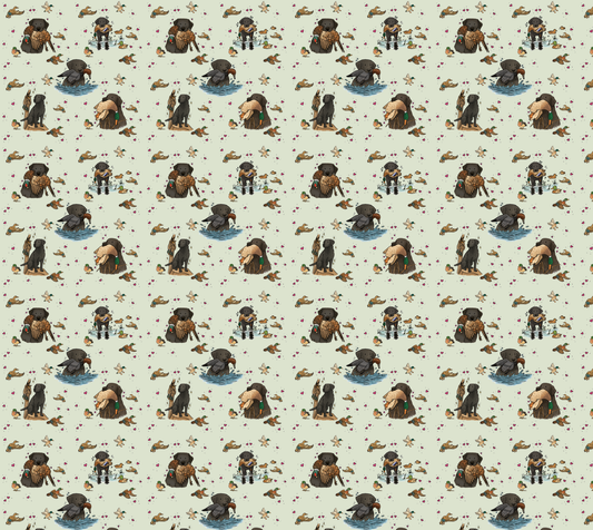 Black Labrador Retriever