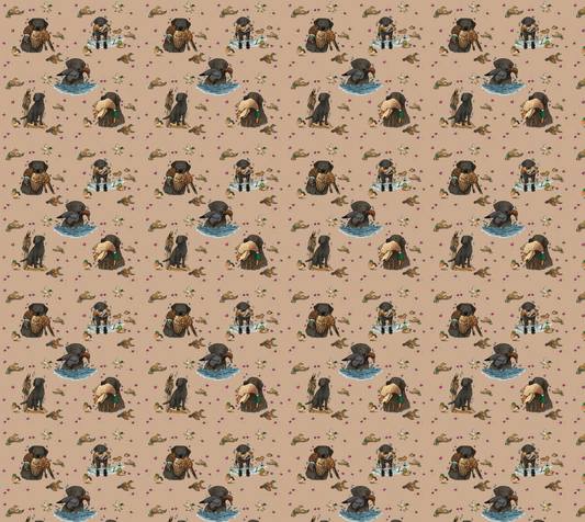 Black Labrador Retriever