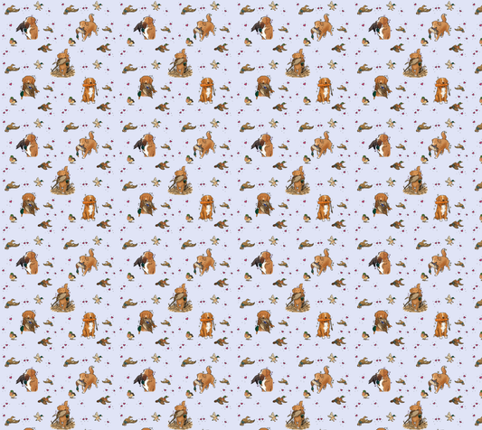 Nova Scotia Duck Tolling Retriever