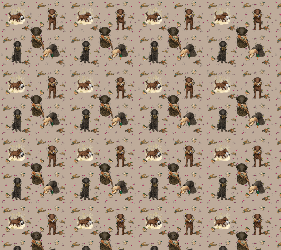 Curly-Coated Retriever