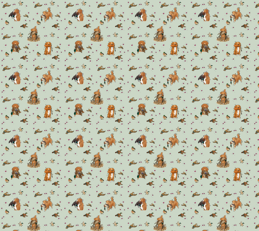 Nova Scotia Duck Tolling Retriever