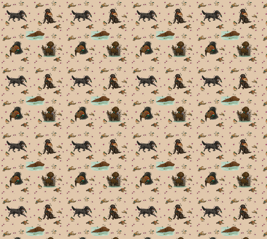 Flat-Coated Retriever