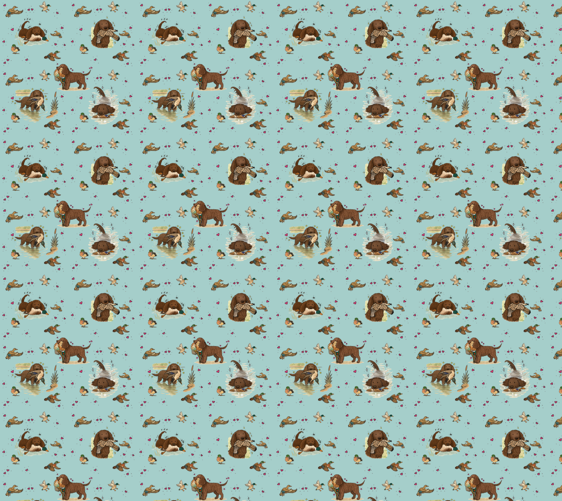 American Water Spaniel