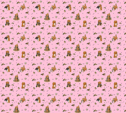 Nova Scotia Duck Tolling Retriever