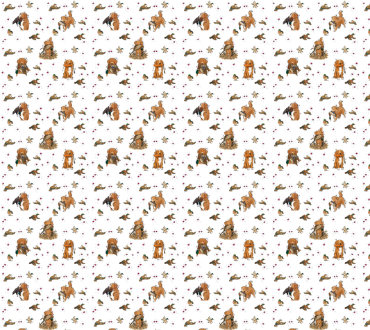 Nova Scotia Duck Tolling Retriever