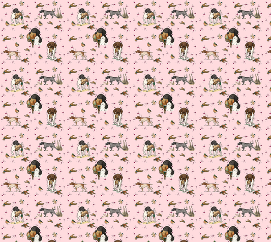 German Shorthaired Pointer