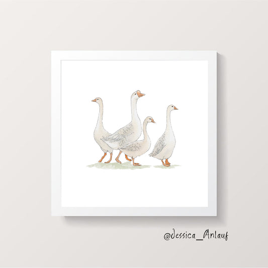 8x8 & 12x12 Watercolor - Geese