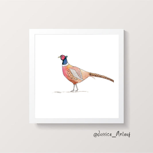 8x8 & 12x12 Watercolor - Pheasant