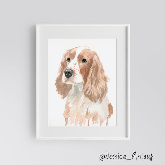 9x12 Welsh Springer Spaniel